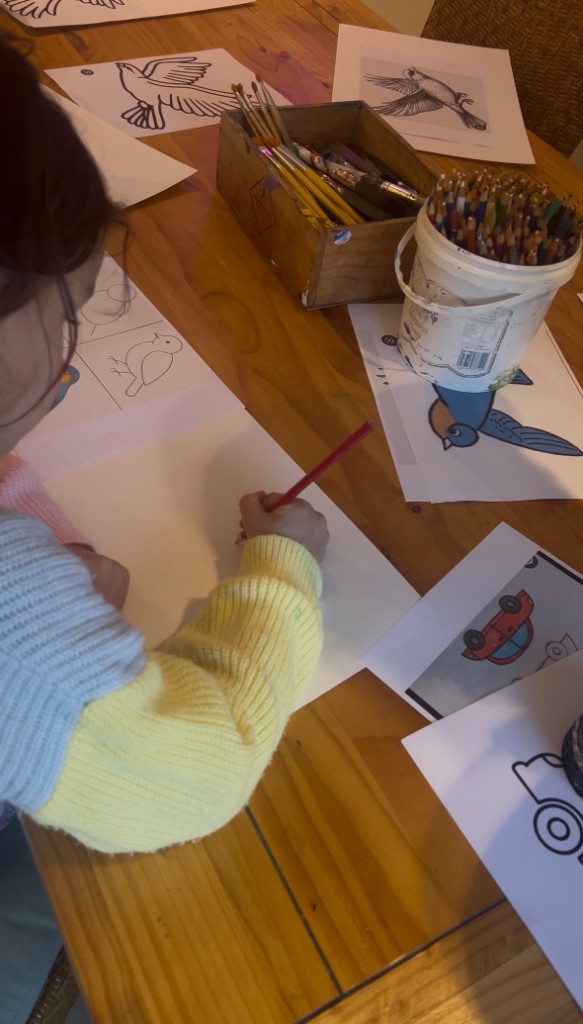 Child drawing birds with coloured pencils at an art workshop